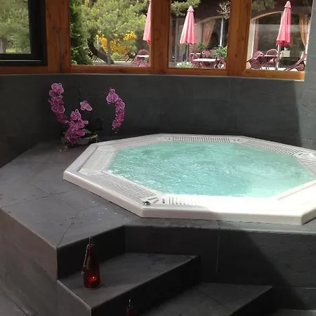 Logis Hotel-restaurant Le Hotel Embrun